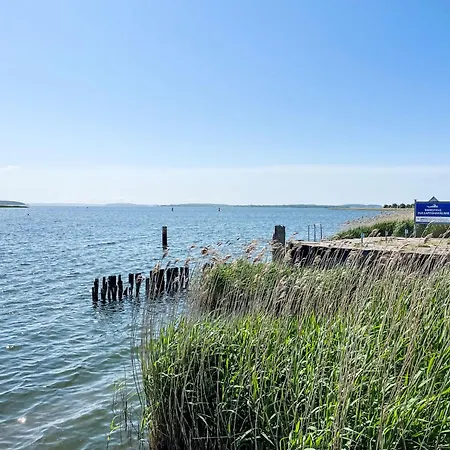 Strandlaeufer By Interhome Apartment *
